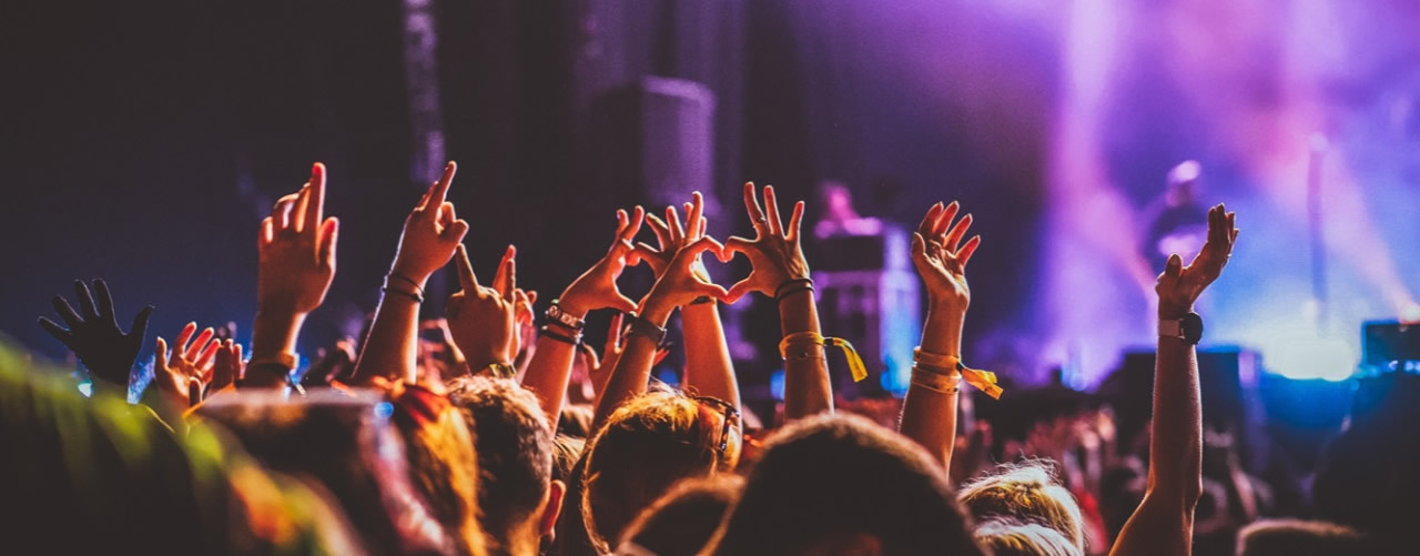 Concert crowd